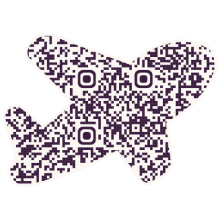 Plane-shaped QR code