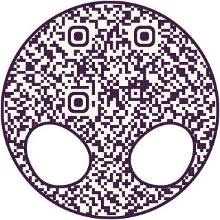Soul Vessel-shaped QR code